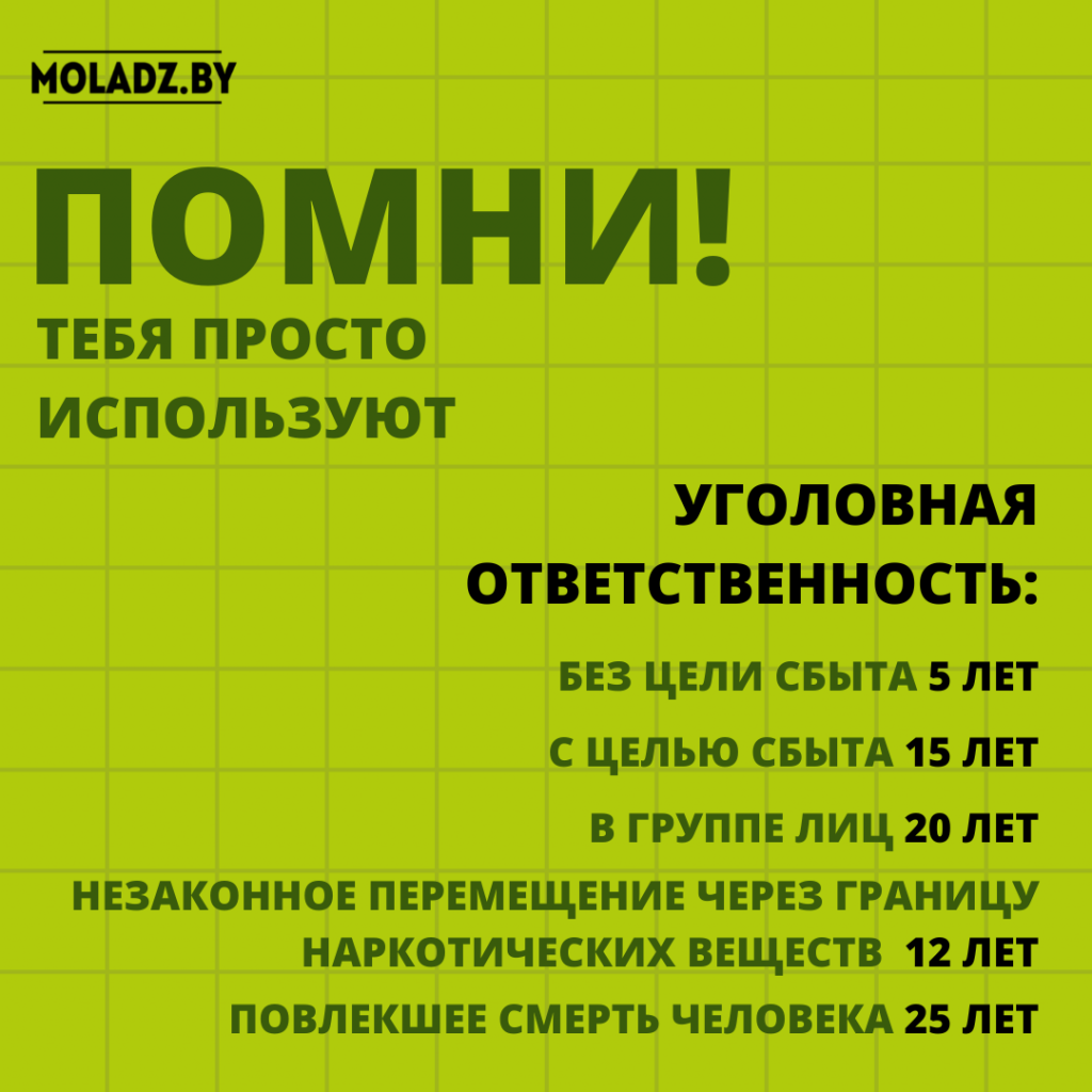 Молодой ученый обнаружила у гриба «веселка» противоопухолевые свойства, копия-3.png